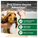 Advantage Dog Flea & Tick Shampoo for Puppies & Adult Dogs | Kills Fleas & Ticks | 8 oz.