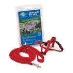PetSafe Come with Me Kitty Harness and Bungee Leash, Harness for Cats, Medium RED
