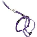 PetSafe Come with Me Kitty Harness and Bungee Leash, Harness for Cats, Large Lilac/Purple