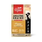 Orijen AMAZING GRAINS Dry Puppy Food Chicken, Turkey & Fish, 1ea/22 lb