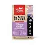 Orijen AMAZING GRAINS Large Breed Dry Puppy Food Chicken, Turkey & Fish, 1ea/22.5 lb