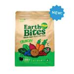 Earthborn Holistic EarthBites Crunchy Dog Treats Turkey & Pumpkin, 1ea/10 oz