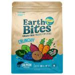 Earthborn Holistic EarthBites Crunchy Dog Treats Salmon & Pumpkin, 1ea/10 oz