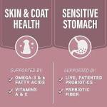 Natural Balance Specialized Skin & Stomach 22 #
