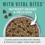 Natural Balance Specialized Nutrition Small Breed Digestive & Immune 12#