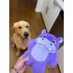 KONG KONG Snuzzles Hippo Dog Toy 1ea/XL