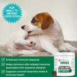 Nootie Progility Mini Allergy & Immune Supplement, 60 chews Nootie Progility Mini Allergy & Immune Supplement, 60 chews