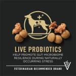 Purina Pro Plan Complete Essentials Shredded Blend Beef and Rice Dog Food Dry Formula with Probiotic