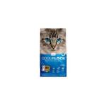 Intersand Odorlock Unscented Cat Litter 1ea/13.2 lb