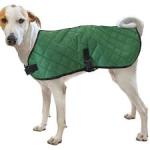 Fashion Pet Quilt Blanket Coat Hunter Green