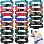 Dog Collar Nylon Adjustable Assorted  MD/LG