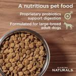 Diamond Naturals Large Breed Lamb & Rice 40lbs