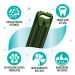 DINOVITE Triple Action Oral Care Med 5 ct