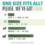 DINOVITE Triple Action Oral Care Med 5 ct