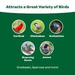 Kaytee Wild Bird Food  with 2x Sunflower 5#