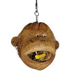 A & E Cages Coco Monkey Bird Interactive Toy