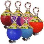 Jolly Pets Romp N Roll 8