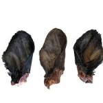 QT Dog Water Buffalo Ears with Hair 1ct