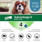 Elanco Advantage II Topical Flea Treatment & Prevention for Dogs 4-Month Supply, 1ea/MD Dogs (11-20