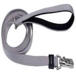 Coastal Inspire Dog Leash, Inspire Grey, 1