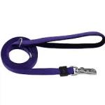Coastal Inspire Dog Leash, Inspire Purple , 5/8