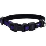 Coastal Inspire Dog Collar LG -  Purple