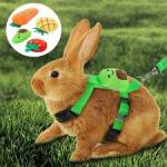 Adjustable Rabbit and Small animal Harness and Leash Set