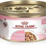 RC Stage 3 Kitten Thin slices Wet Food