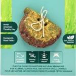 Oxbow Animal Health Enriched Life Timothy Apple Slice Small Animal Chew 1ea/One Size
