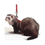 Marshall Pet Products Ferret Harness and Lead Set Blue, 1ea