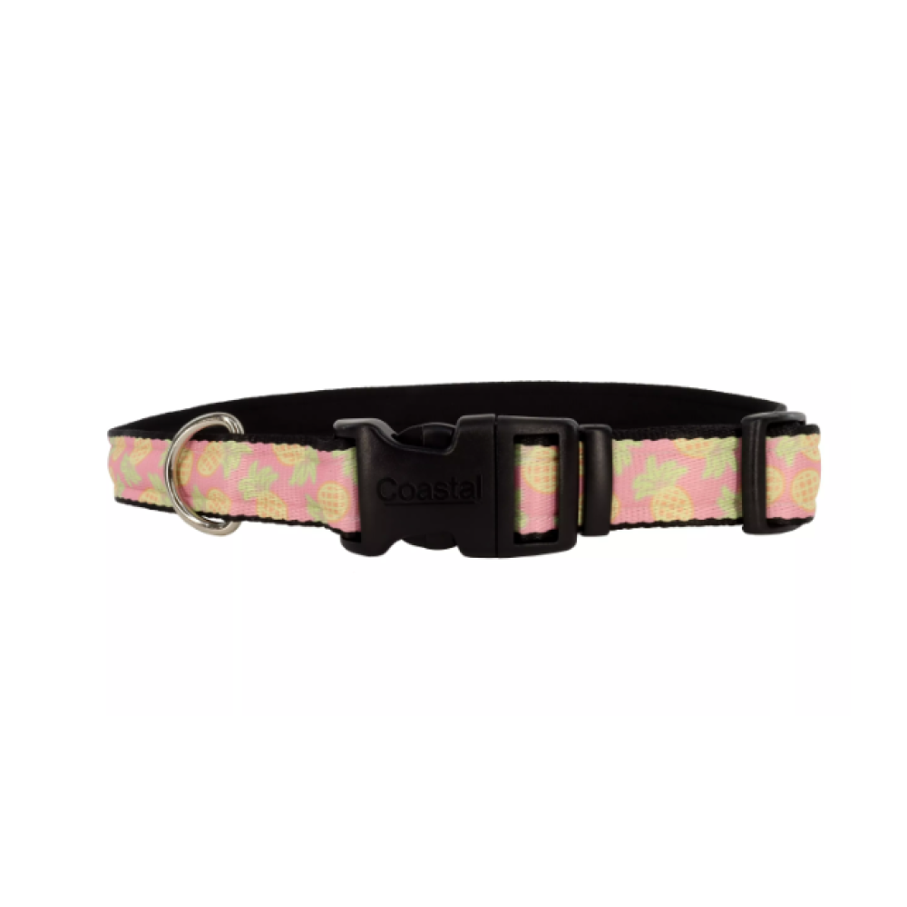 Costal Pineapples Collar Costal Pineapples Collar