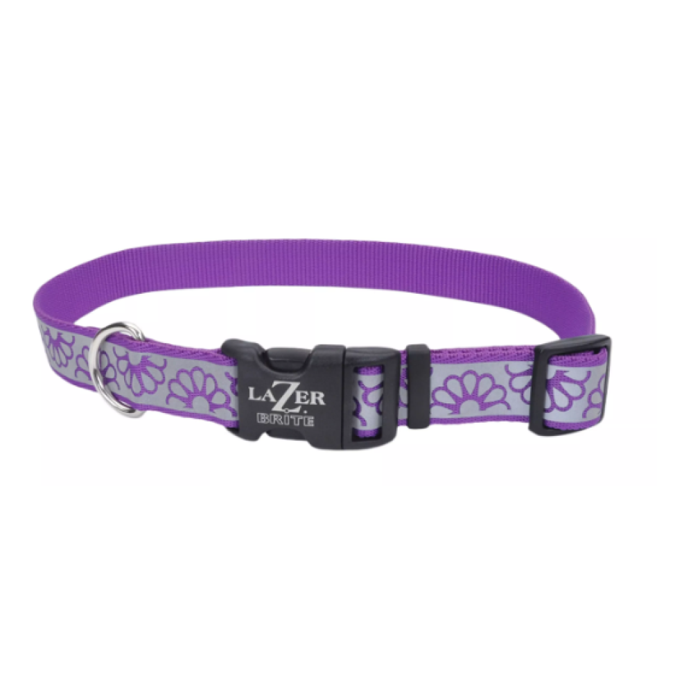 Coastal Lazer Brigth Purple Daisy Collar Coastal Lazer Brigth Purple Daisy Collar