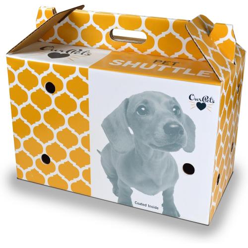 Cosmic Cat Cardboard Pet Shuttle
