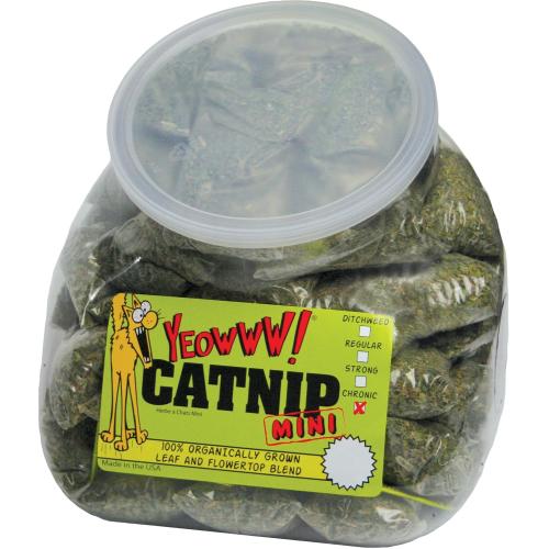 DUCKY YEOW CATNIP MINIS JUG 50CT