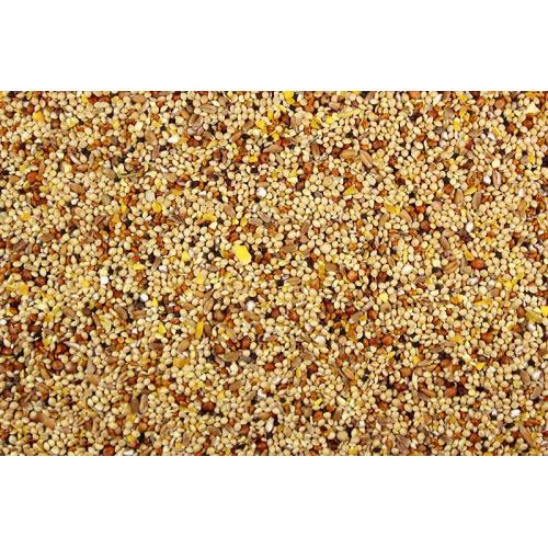 Royal Feeds Wild Bird Seed 5#