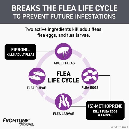 Frontline Plus Dog Flea Meds 89-120# 3pk