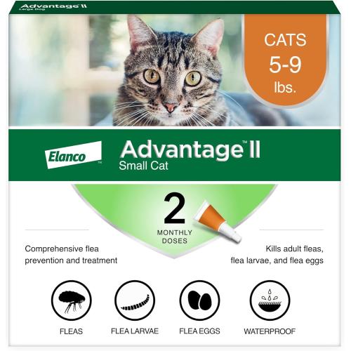 Advantage II Cat Flea Meds Small Cat 5-9# 2pk