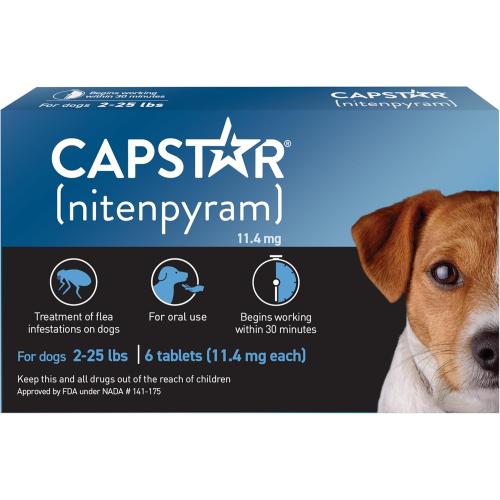 CapStar Dog Flea Treatment Blue 2-25# (Single)
