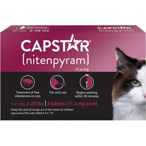 CapStar Cat Maroon Under 25# (Single)