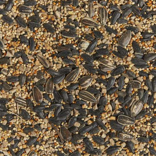  Kaytee Western Regional Blend, 7lb