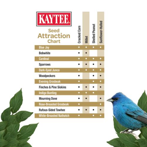 Kaytee Bird Seed No Mess Blend, 10lb