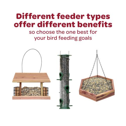 Kaytee Nut And Fruit Seed Treat Bell