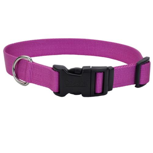Coastal Dog Collar Adjustable 1" x 18"-26" Orchid