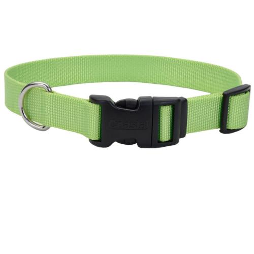 Coastal Dog Collar Adjustable 3/4" x  14"-20" Lime