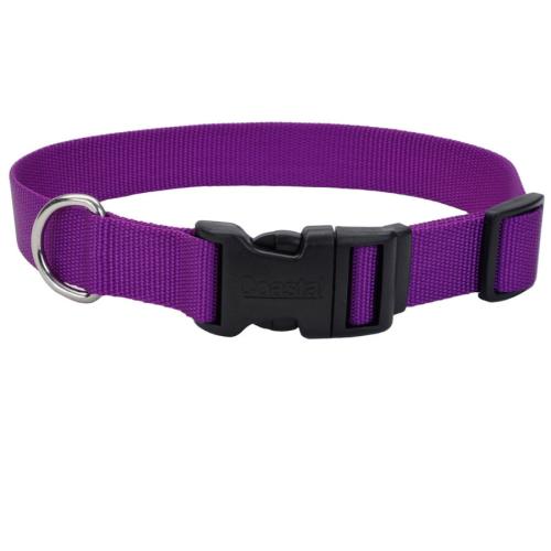 Coastal Dog Collar Adjustable 3/4" x  14"-20" Purple
