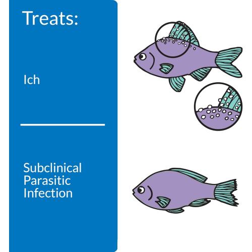 API Fish Med Super Ick Cure 4oz