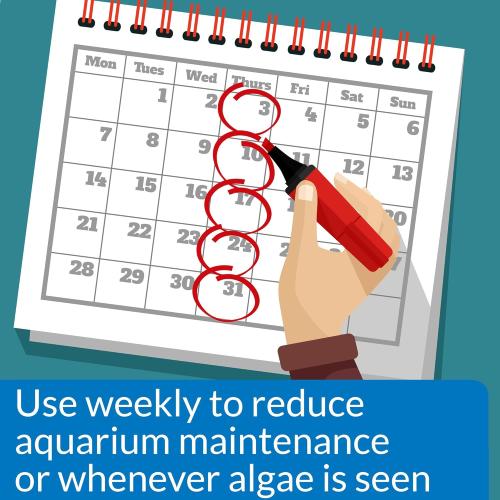 API Aquarium Supply AlgaeFix 1.25oz