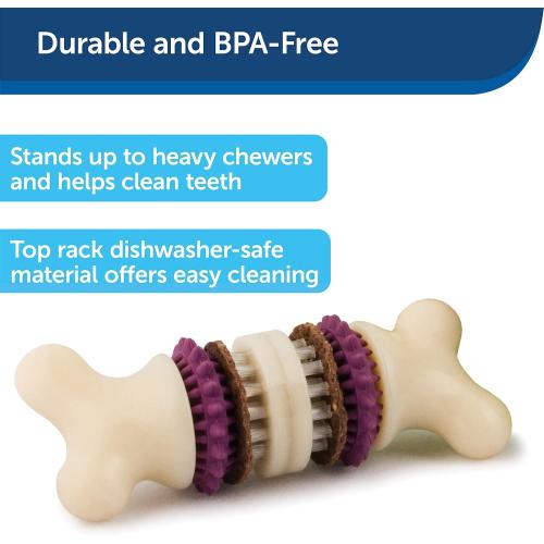 Petsafe Dog Toy Bristle Bone Medium
