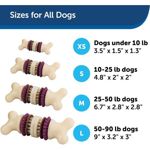 Petsafe Dog Toy Bristle Bone Medium