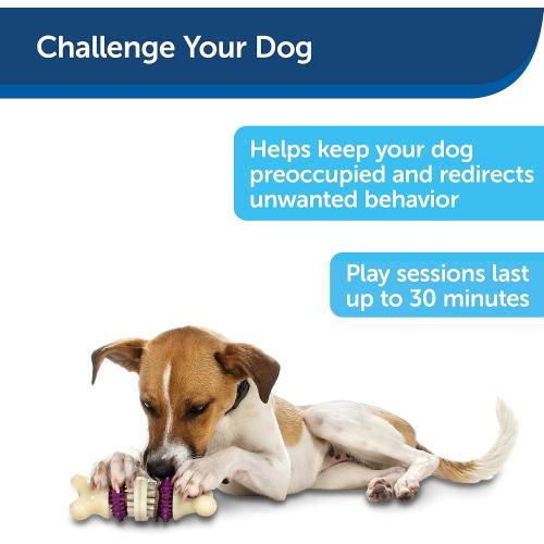 Petsafe Dog Toy Bristle Bone Large